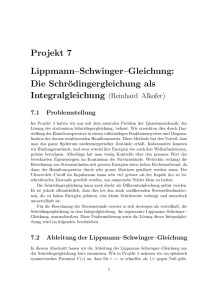 Projekt 7 Lippmann–Schwinger–Gleichung: Die