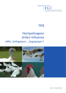 FAQ Hochpathogene Aviäre Influenza (HPAI, Geflügelpest
