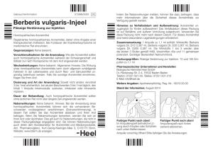 Berberis vulgaris-Injeel