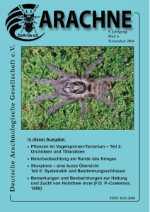 arachne 6/2004