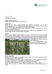 Quinoa - LK Österreich