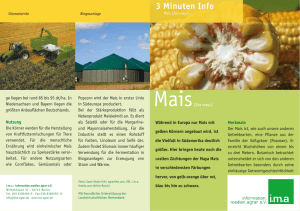 3 Minuten Info Mais - ima - information.medien.agrar eV