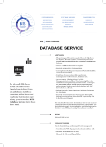 Database Service