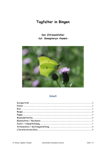 Zitronenfalter (Gonepteryx rhamni) PDF 3 MB - BUND Rheinland