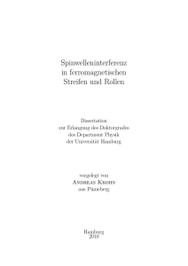 Dissertation - Spinwelleninterferenz in ferromagnetischen Streifen