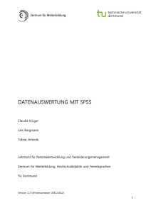 datenauswertung mit spss