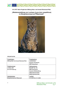 „Wiederansiedlung von Luchsen (Lynx lynx carpathicus) im