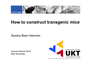 How to construct transgenic mice