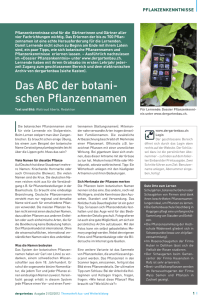 Das ABC der botani- schen Pflanzennamen