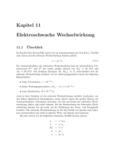 Kapitel 11 Elektroschwache Wechselwirkung - HERA-B