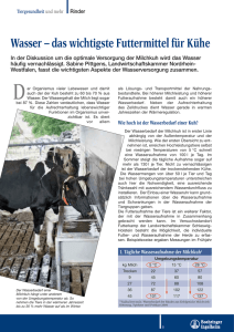 Wasser – das wichtigste Futtermittel für Kühe