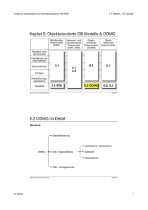 ODMG - STS