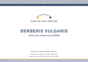 BERBERIS VULGARIS - QUANTUM LOGIC MEDICINE