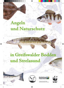Angeln und Naturschutz in Greifswalder Bodden und