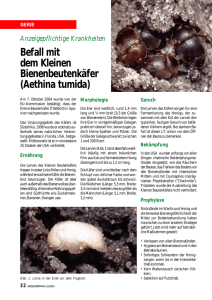 Befall mit dem Kleinen Bienenbeutenkäfer (Aethina