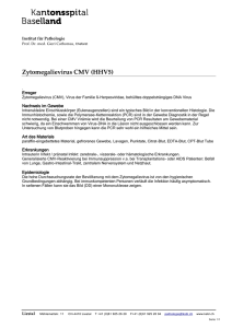 Zytomegalievirus CMV (HHV5)