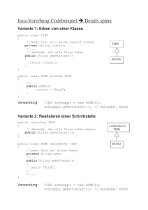 Java-Vererbung-Codebeispiel → Details später