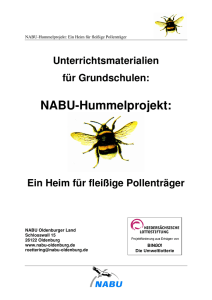 NABU-Hummelprojekt