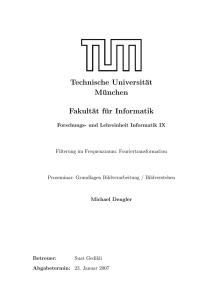 pdf - Technische Universität München