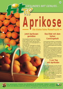 Aprikosen - Ernährungsberatung Rheinland