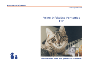 Feline Infektiöse Peritonitis FIP
