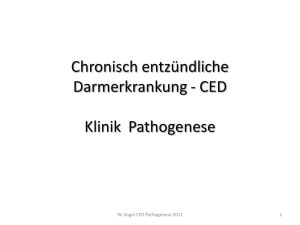 Pathogenese der CED