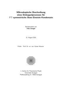 Mikroskopische Beschreibung eines Einkoppelprozesses für PT