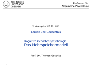 VL 8 Mehrspeichermodell - Fachsymposium