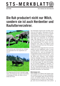 Das Verhalten von Rindern - Schweizer Tierschutz STS