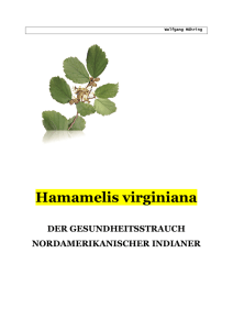 Hamamelis virginiana (DE)