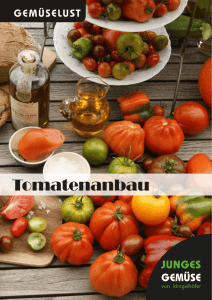 finden Sie unsere Anbauanleitungen für veredelte Tomaten: PDF