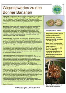 Wissenswertes über Bananen in Bonn als pdf