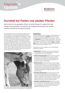 Durchfall bei Pferden