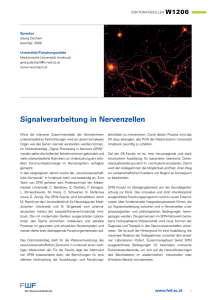 Signalverarbeitung in Nervenzellen