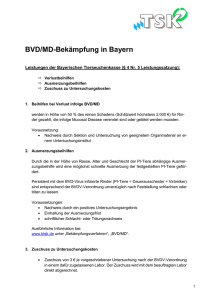 BVD/MD-Bekämpfung in Bayern - Bayerische Versorgungskammer