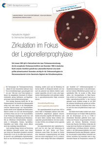 Zirkulation im Fokus der Legionellenprophylaxe