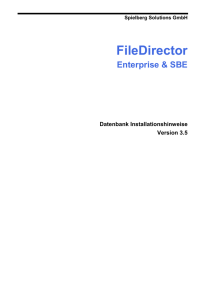 FileDirector Datenbank Installationshinweise