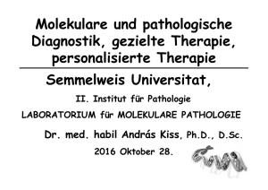 Molekulare und pathologische Diagnostik, gezielte Therapie