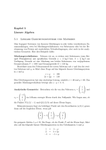 Kapitel 5 Lineare Algebra 5.1 Lineare Gleichungssysteme und