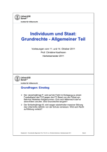 Individuum und Staat: Grundrechte