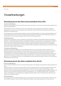 PDF herunterladen