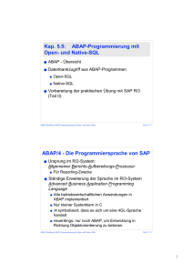 Kap. 5.5: ABAP-Programmierung mit Open- und Native