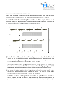 PDF: Schema „Wie die Fischerei genetische