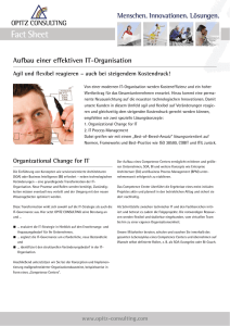Aufbau einer effektiven IT-Organisation