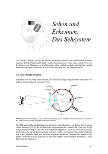 Teil II - Brain Modelling