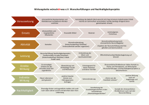 Voraussetzung Einsatz Aktivität Leistung Direkte Wirkung Indirekte