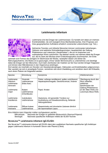 Leishmania infantum-dt