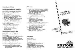 Faltblatt Amphibienwanderung (application/pdf