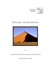 Dynamik von Sanddünen