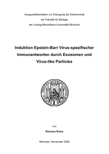 Induktion Epstein-Barr Virus-spezifischer Immunantworten durch